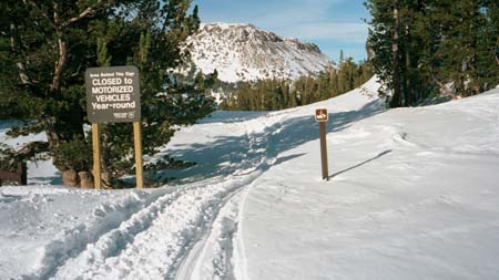 Image of snowmobile trespass